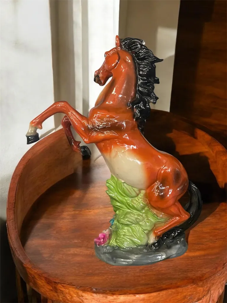 Photoroom_20260620_145013.webp