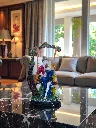 Photoroom_20251227_141523.webp