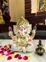 Photoroom_20260514_132544.webp
