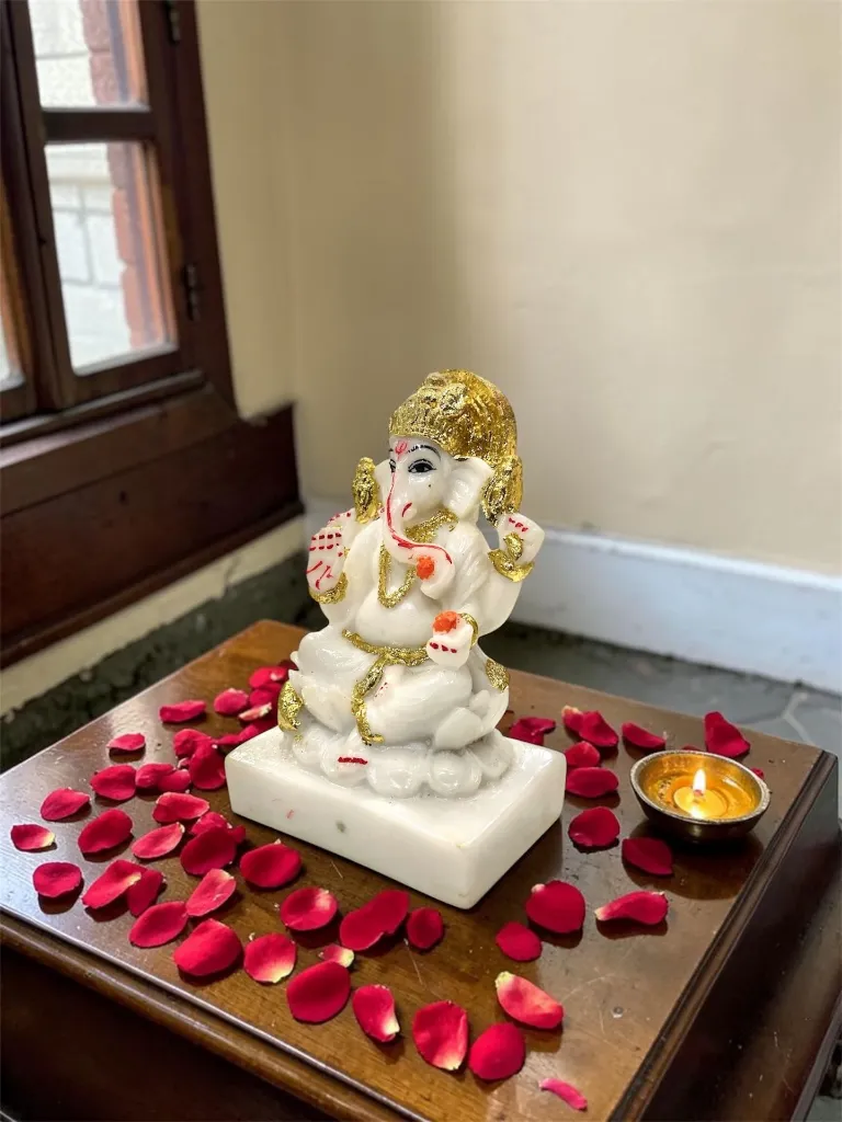 Photoroom_20260514_133538.webp
